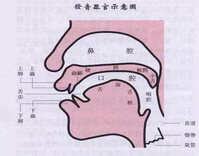 小孩發(fā)音不清楚的原因是什么？